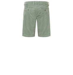 Bermuda "Liam"