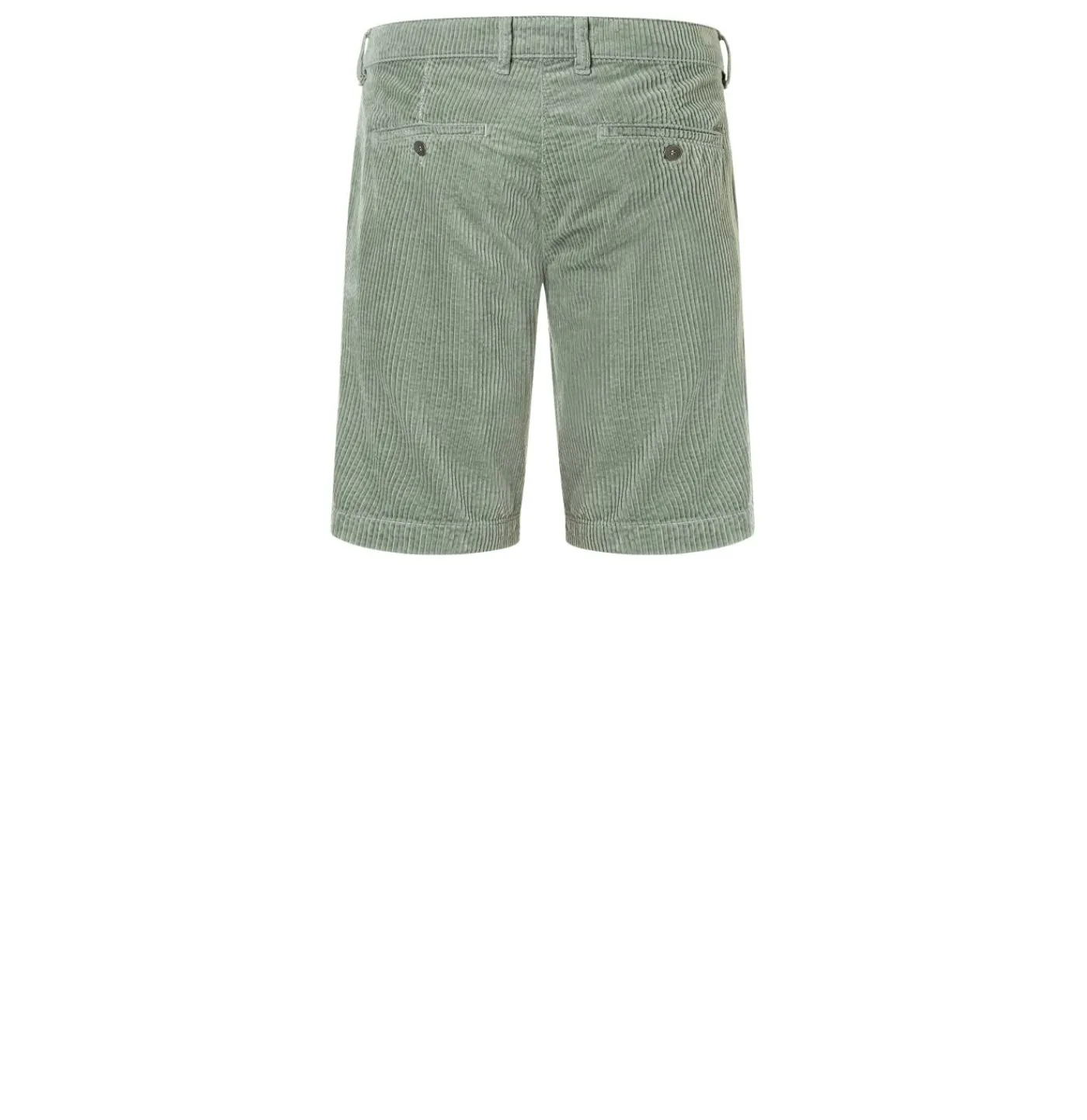 Bermuda "Liam"