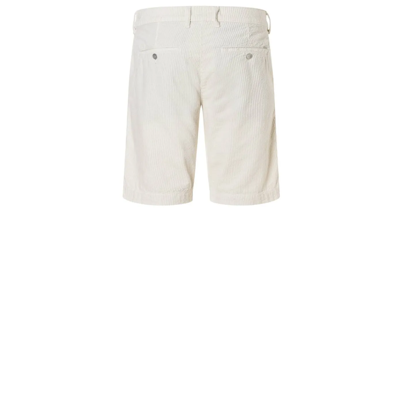 Bermuda "Liam"