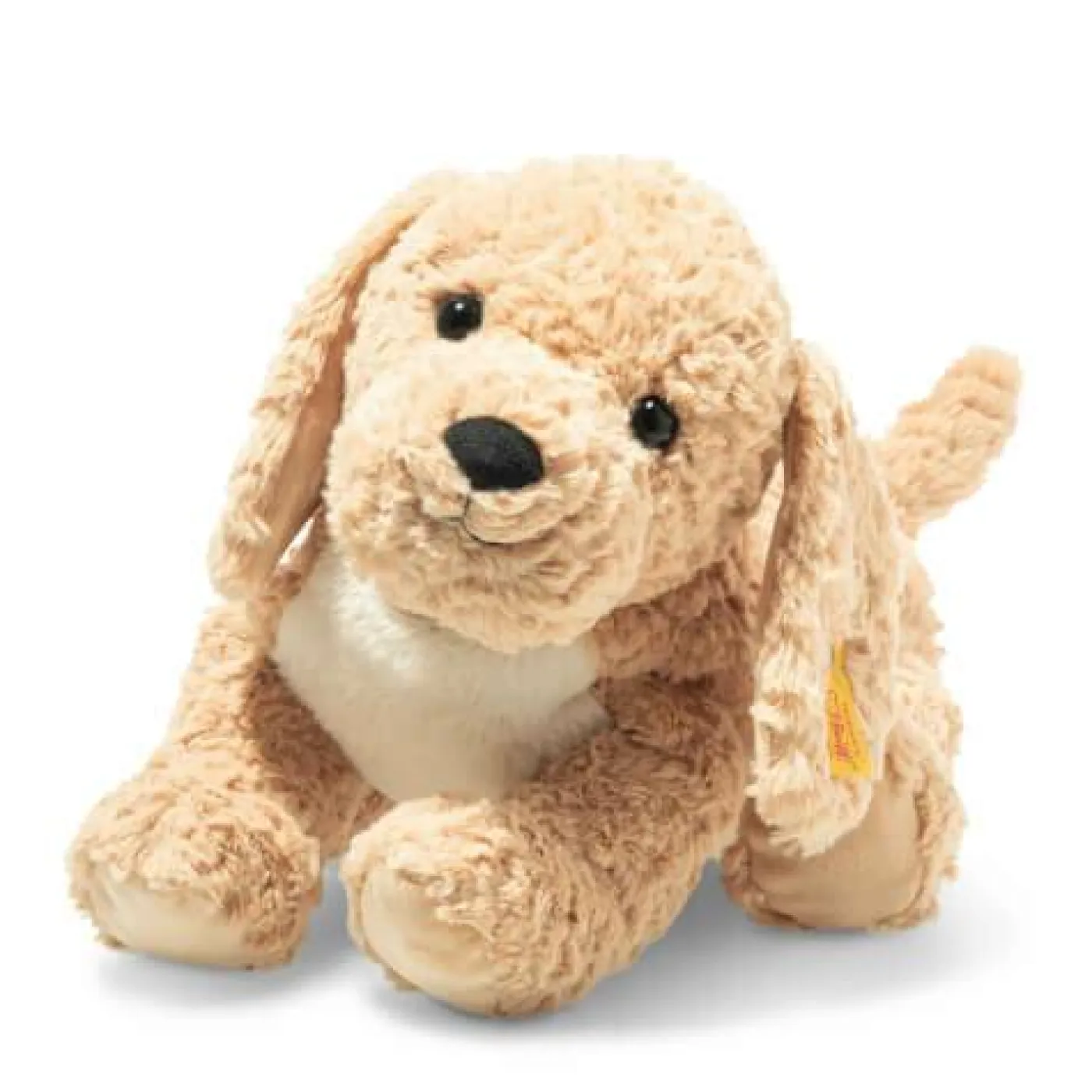 Berno Goldendoodle 36 beige