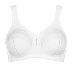 BH "Allegra N X"