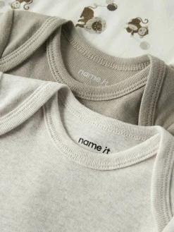 Body