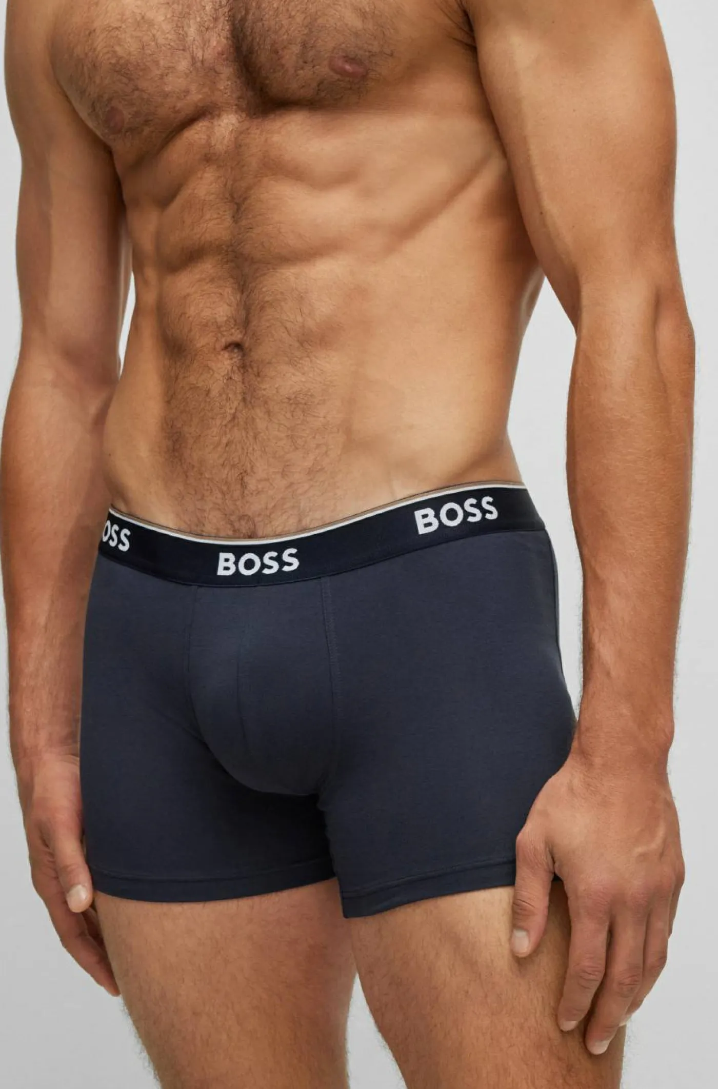Boxer "Power"