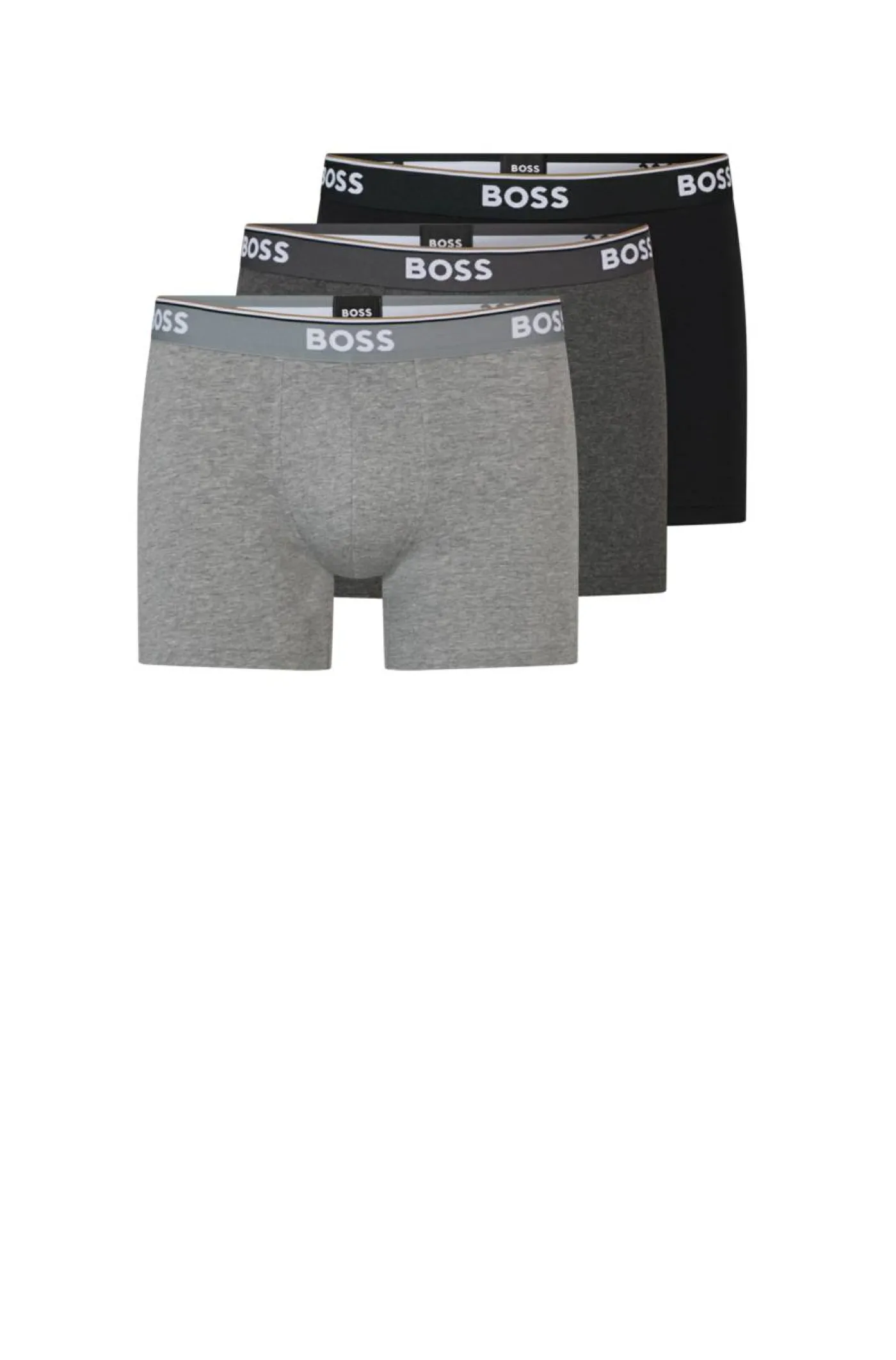 Boxer "Power"