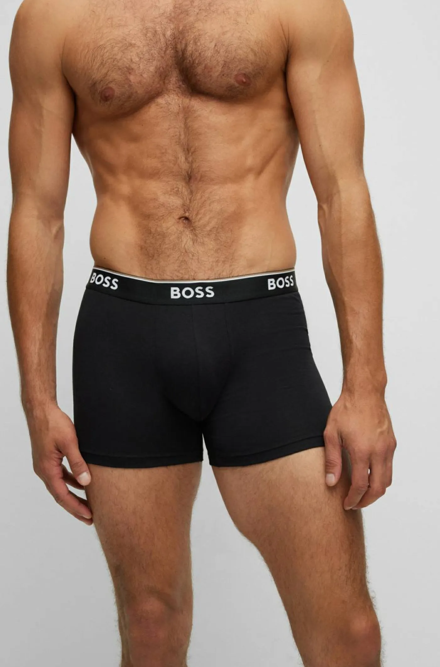 Boxer "Power"