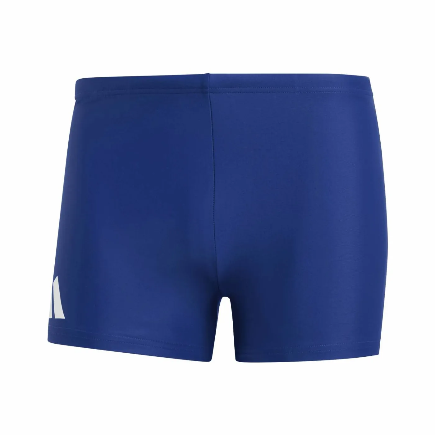 Boxer "Solid"