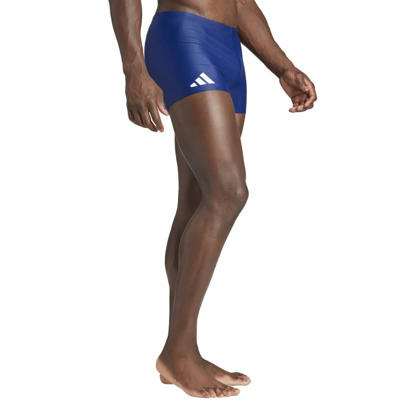Boxer "Solid"
