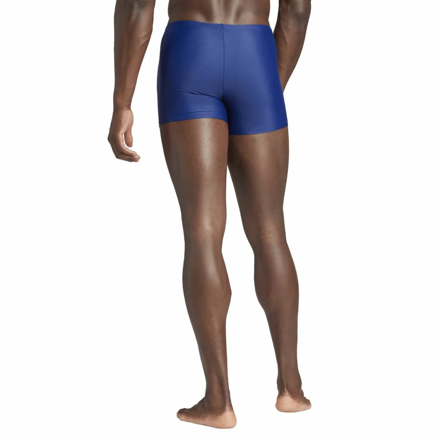 Boxer "Solid"