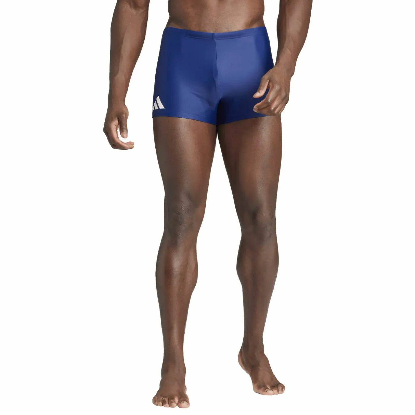 Boxer "Solid"