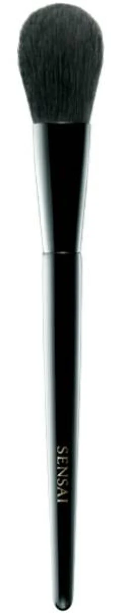 BRUSHES CHEEK BRUSH