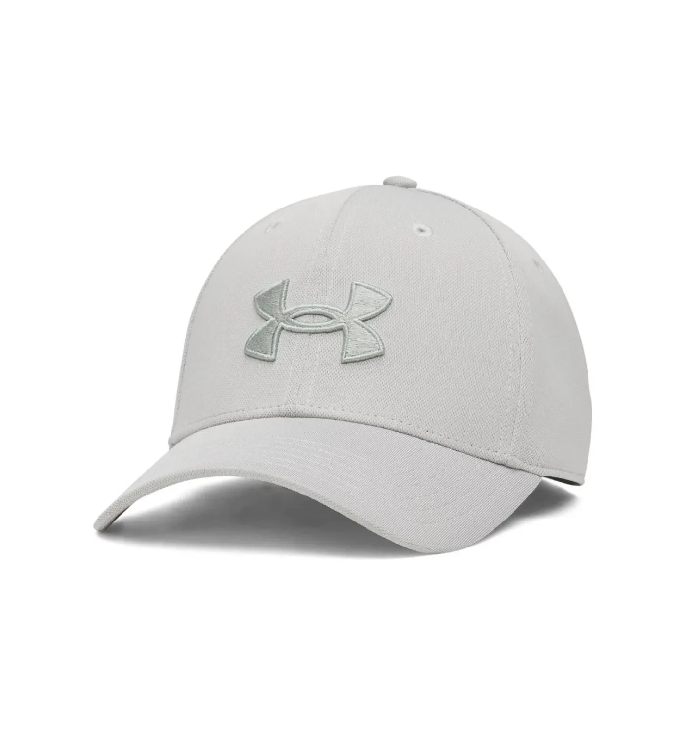 Cap "Blitzing Low"