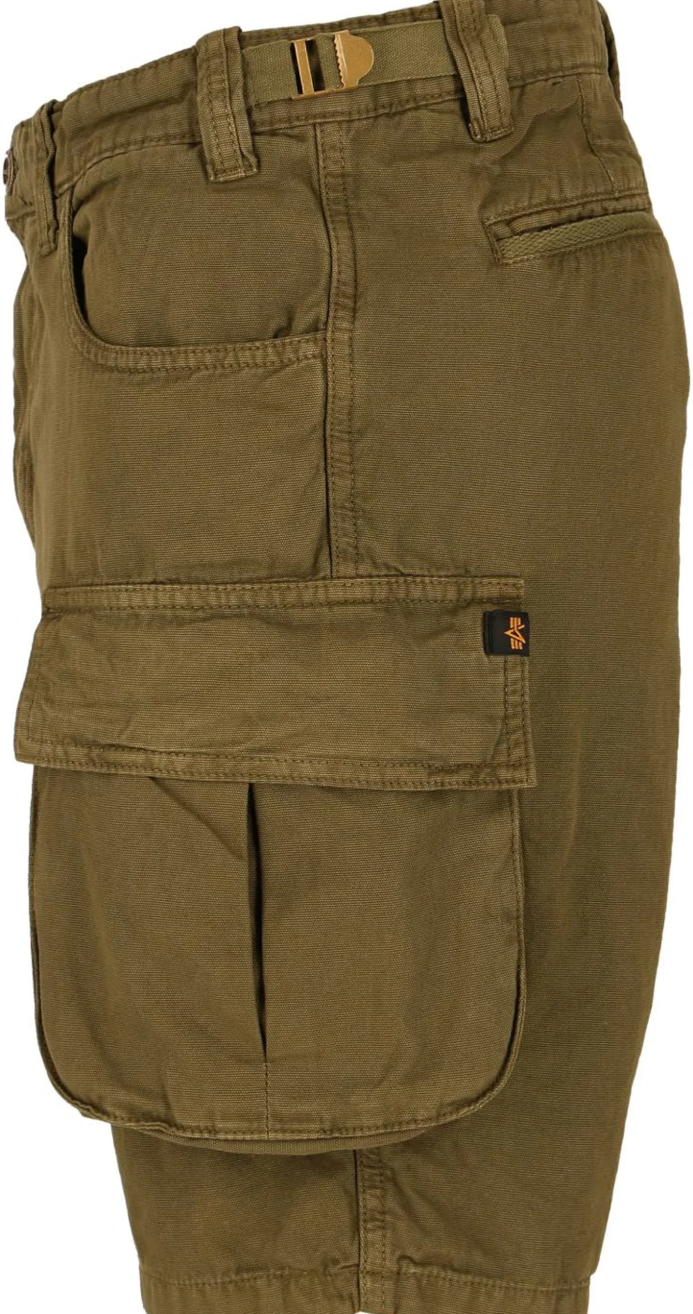 Cargo-Shorts "Canvas"