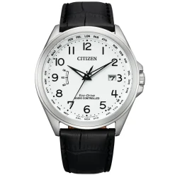 CB0250-17A