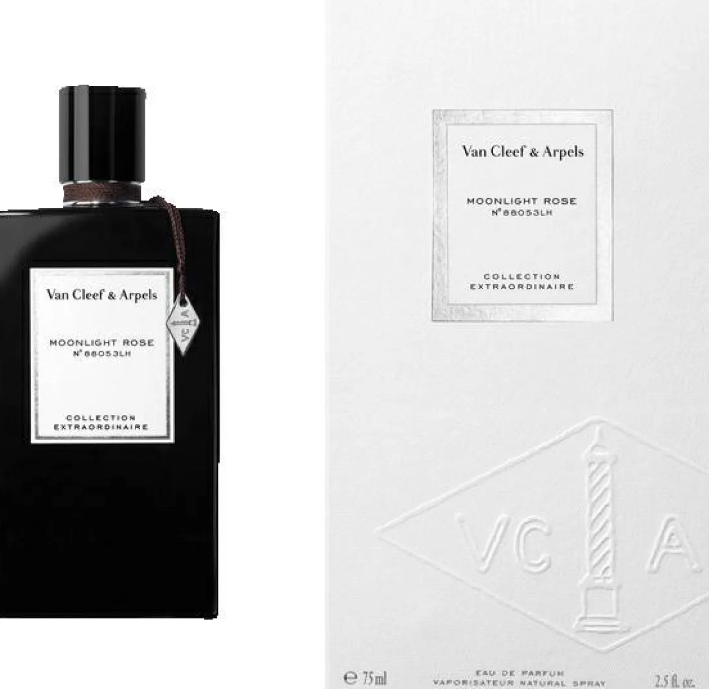Collection Extraordinaire Moonlight Rose