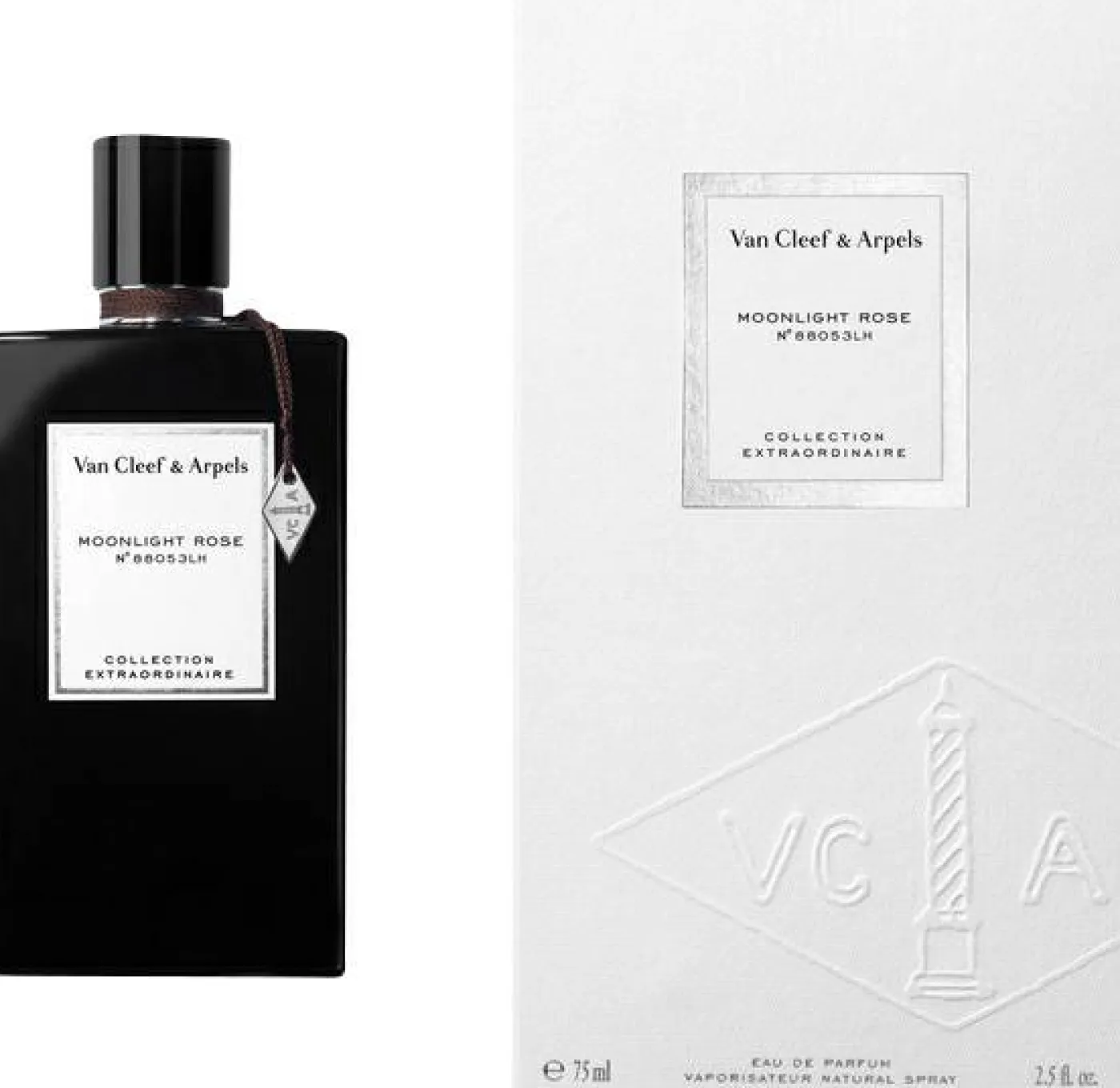 Collection Extraordinaire Moonlight Rose