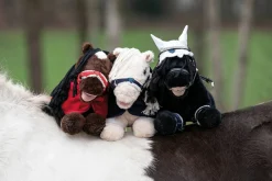 Cuddle Pony