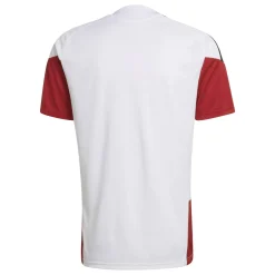 DFB Fantrikot