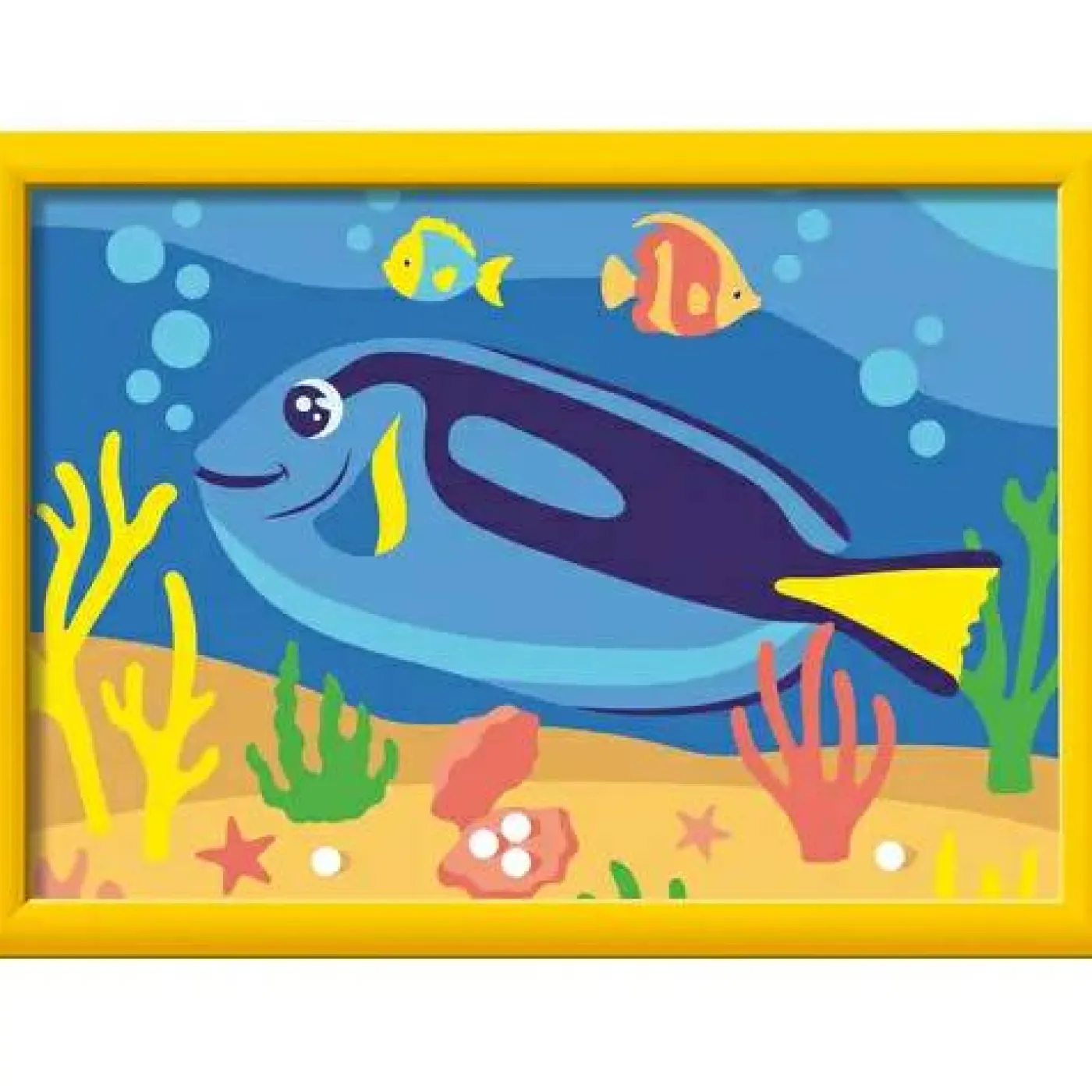 Doktorfisch