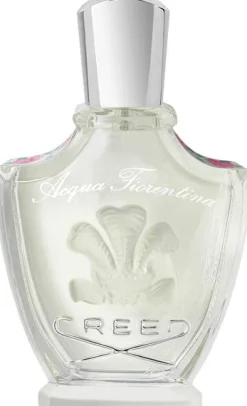 EdP Spray 75 ml