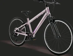 Fahrrad