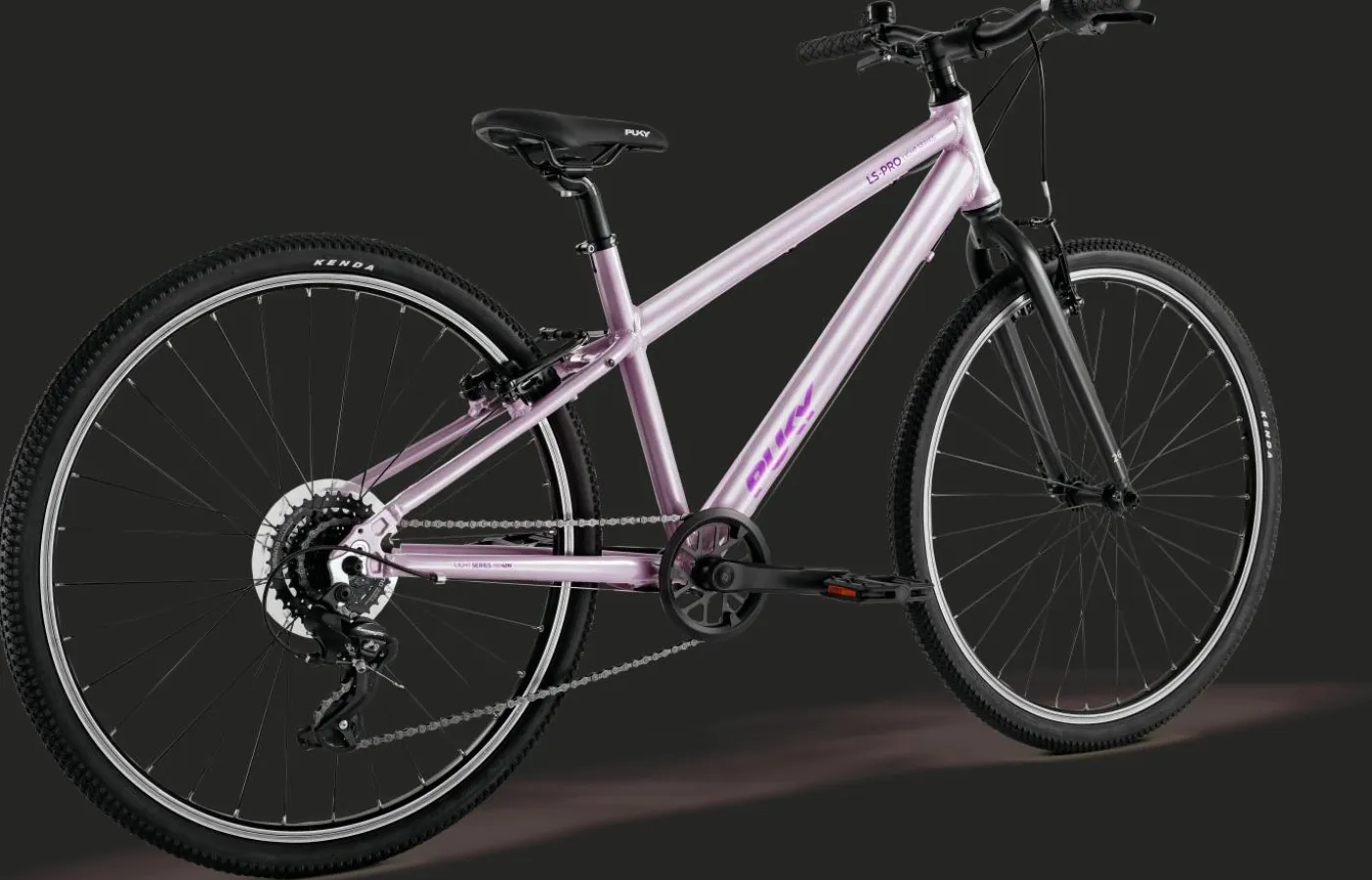 Fahrrad "LS-PRO"