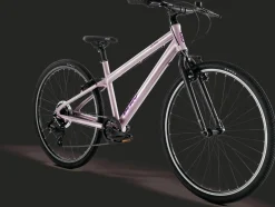 Fahrrad "LS-PRO"