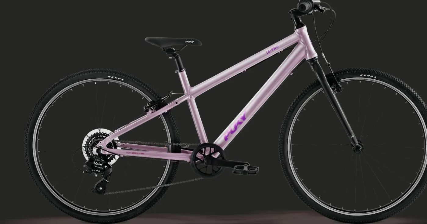 Fahrrad "LS-PRO"