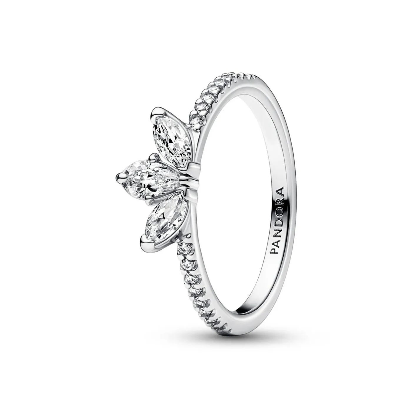 Funkelndes Herbarium Cluster Ring