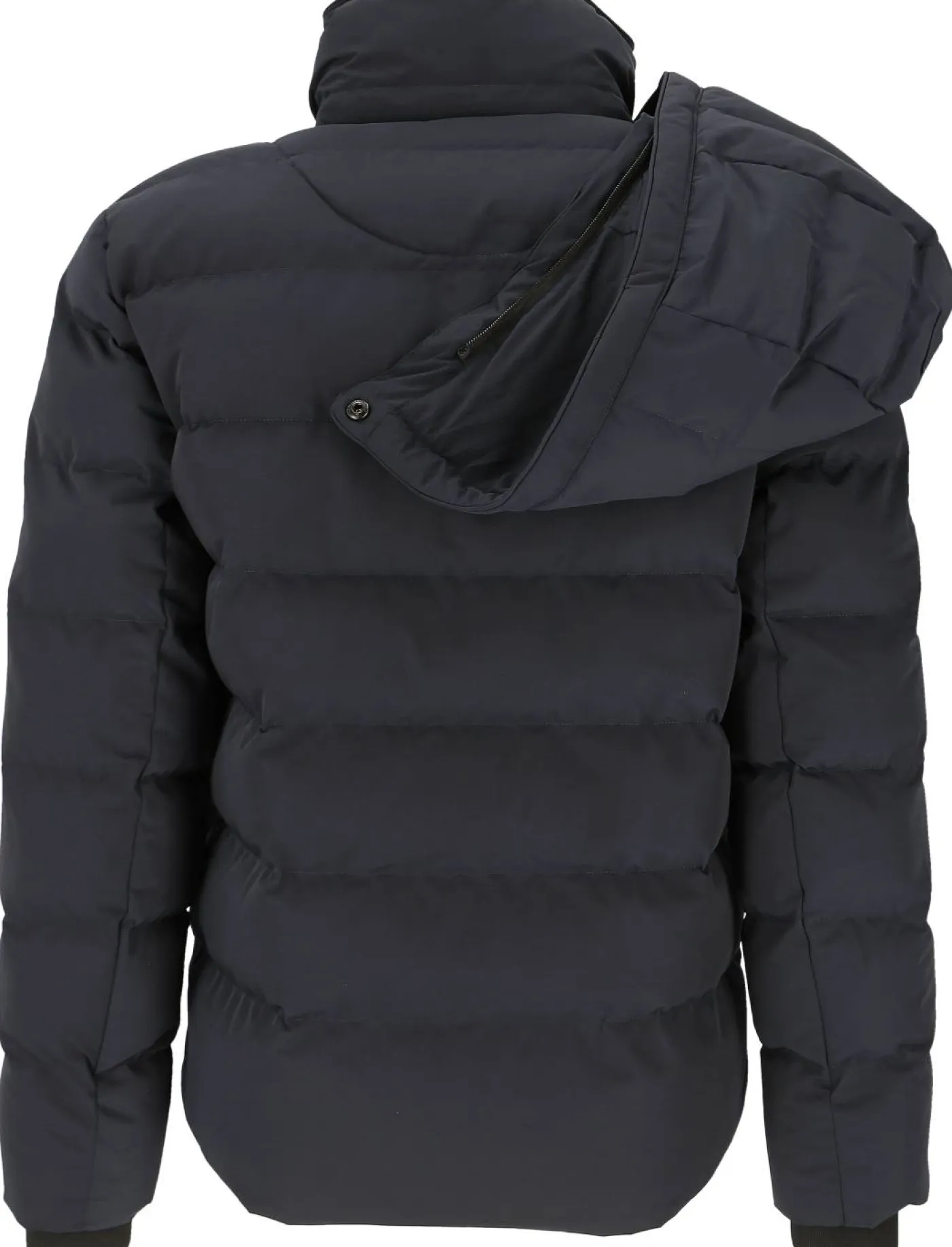Funktionsjacke "Blackbird Short"