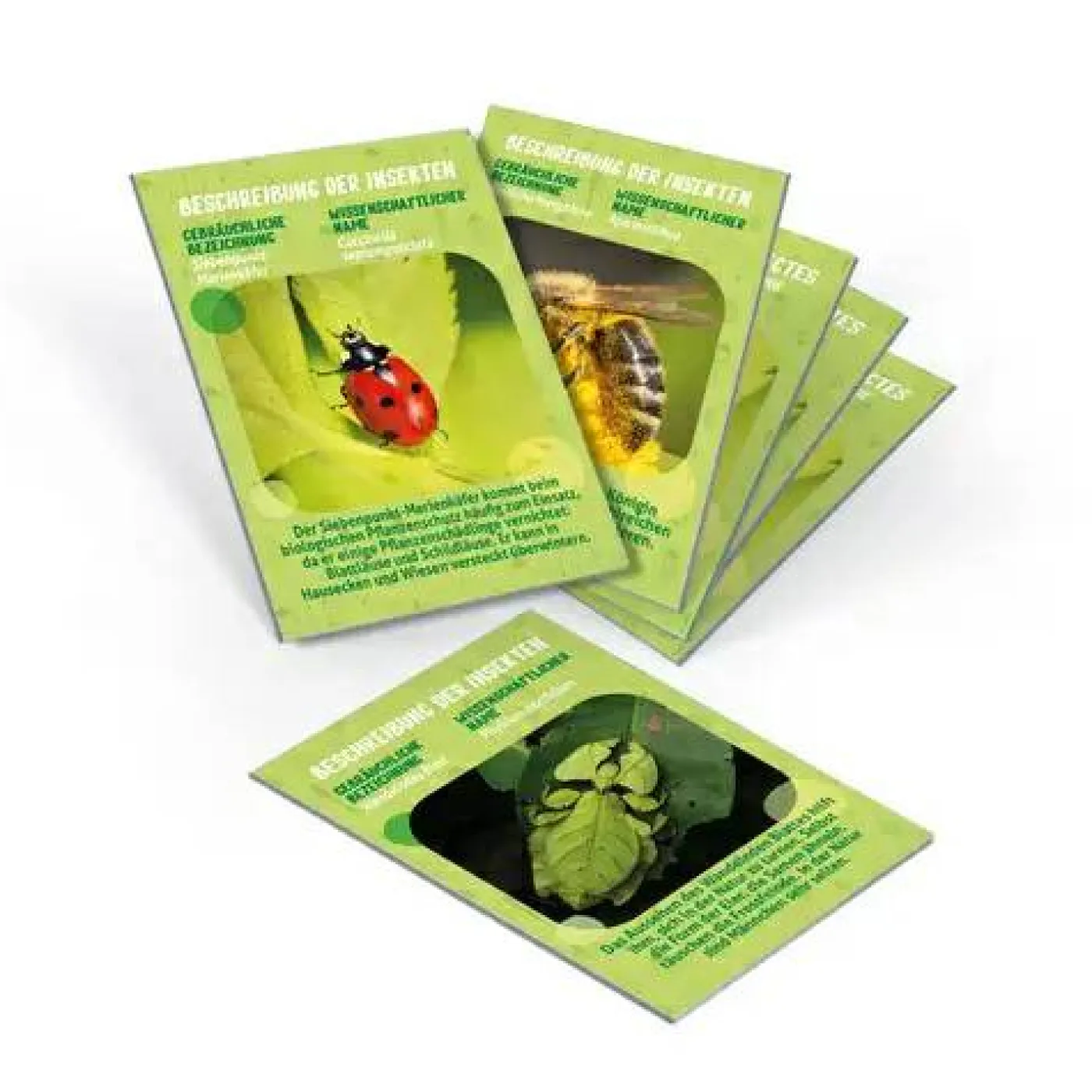 Galileo-Lab "Meine mobile Insekten-Station"