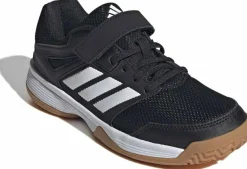Hallenschuh