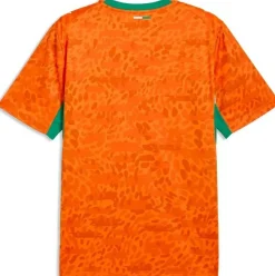Heimtrikot