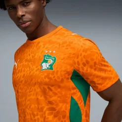 Heimtrikot