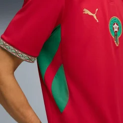 Heimtrikot