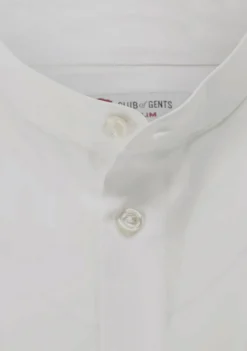 Hemd/Shirt CG Parton