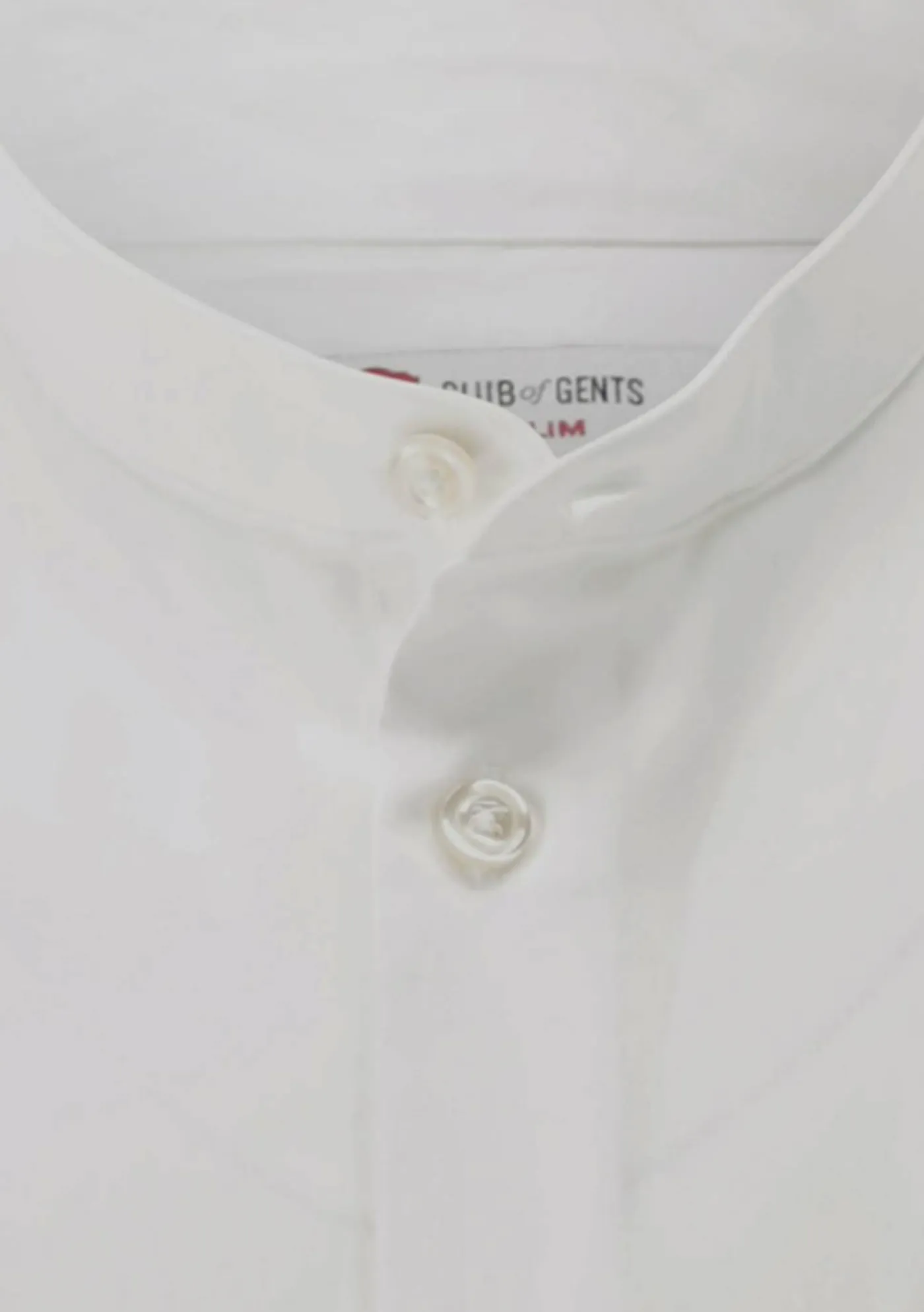 Hemd/Shirt CG Parton