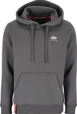 Hoodie "Basic Hoody Small Logo"