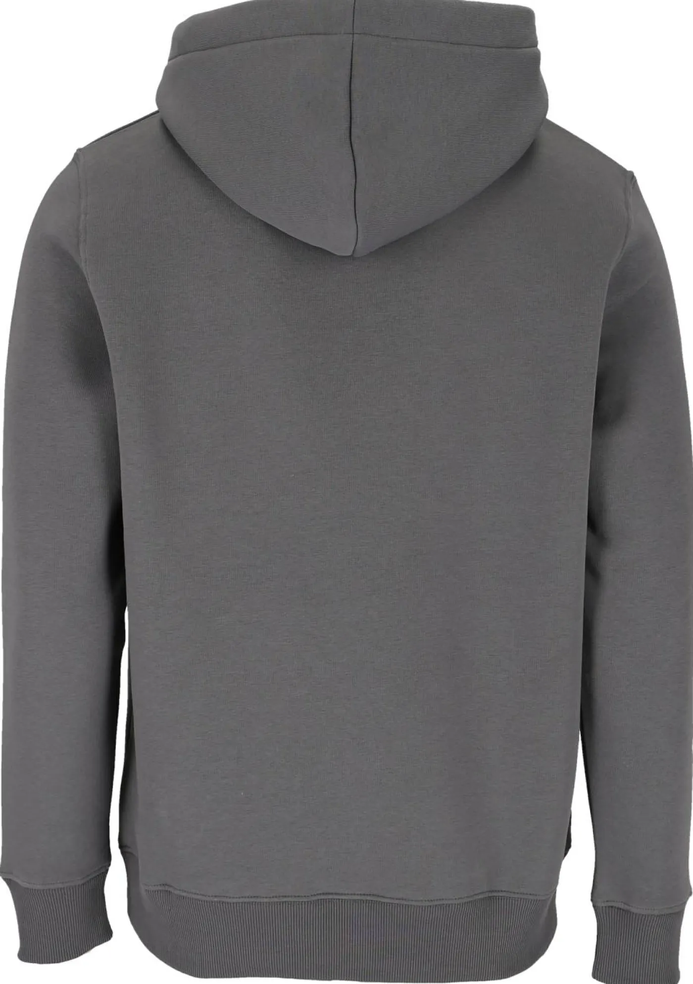 Hoodie "Basic Hoody Small Logo"