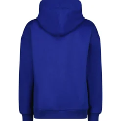 Hoodie "Icon"