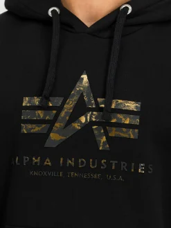 Hoodie "Basic Big Logo Effect"