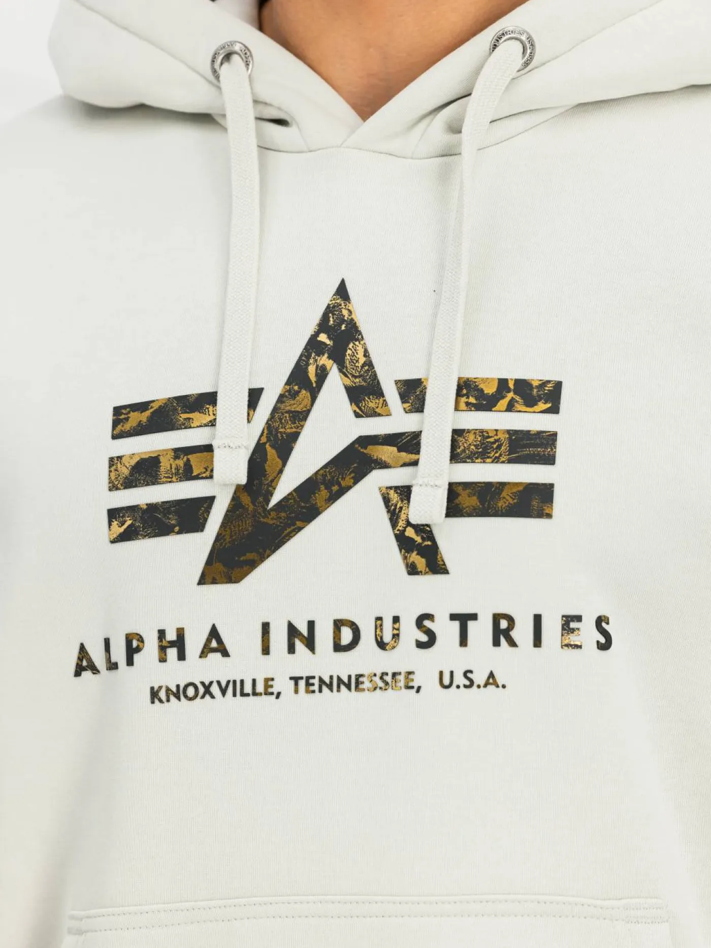 Hoodie "Basic Big Logo Effect"