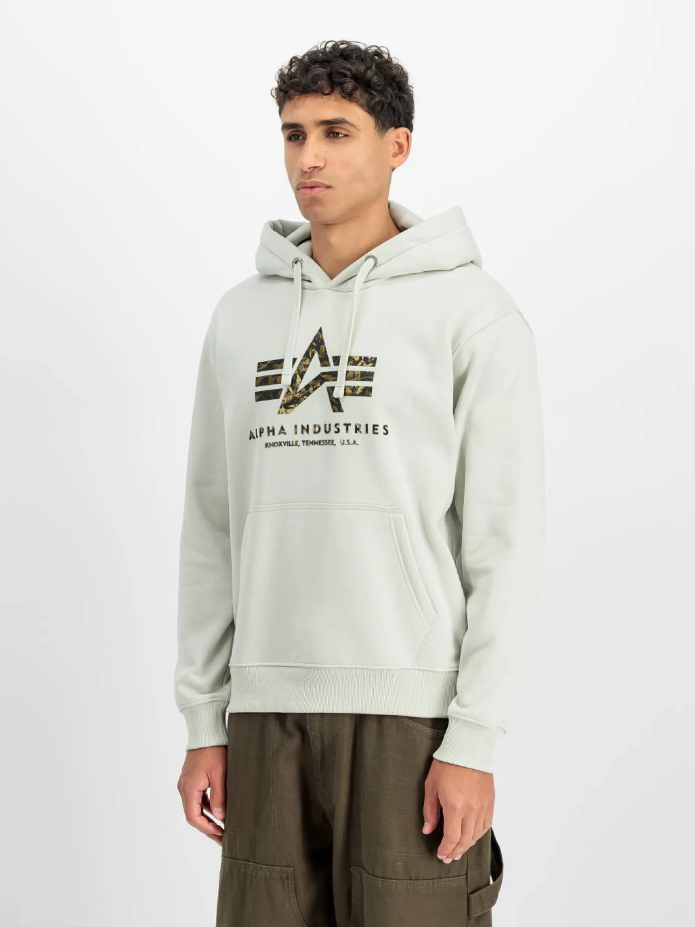 Hoodie "Basic Big Logo Effect"