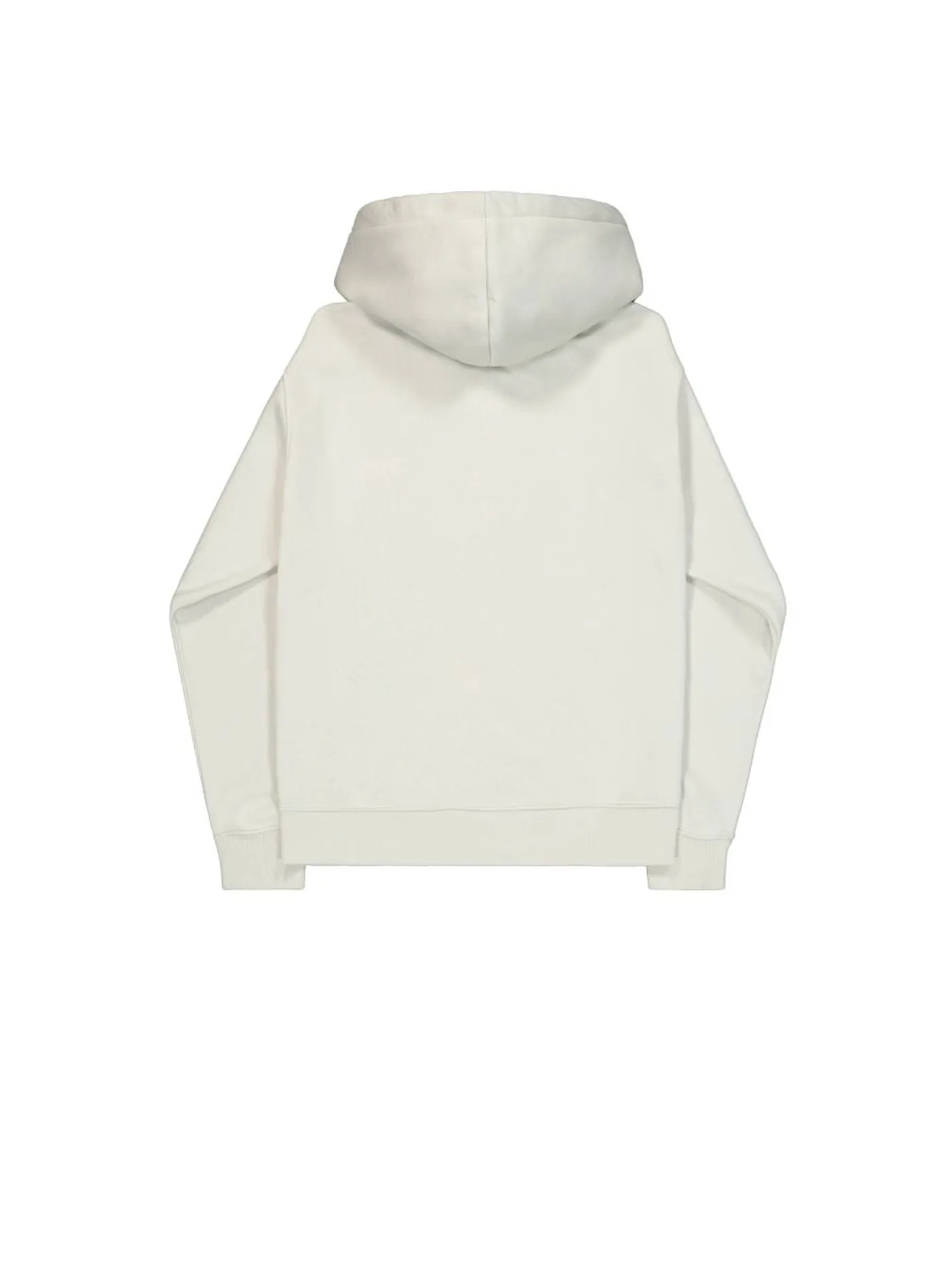 Hoodie "Basic Big Logo Effect"