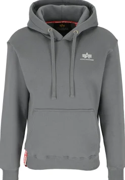 Hoodie "Basic Hoody Small Logo"