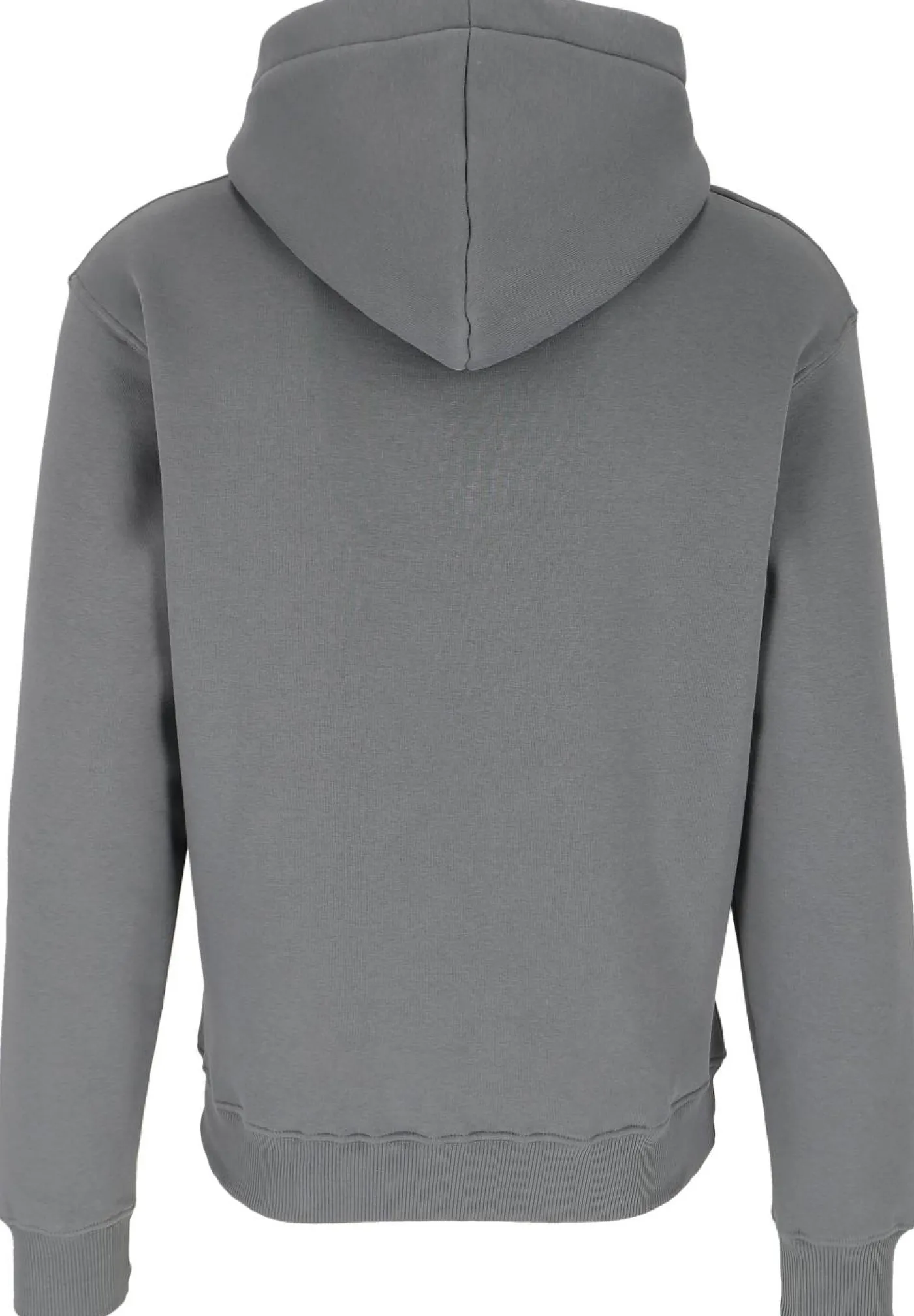 Hoodie "Basic Hoody Small Logo"