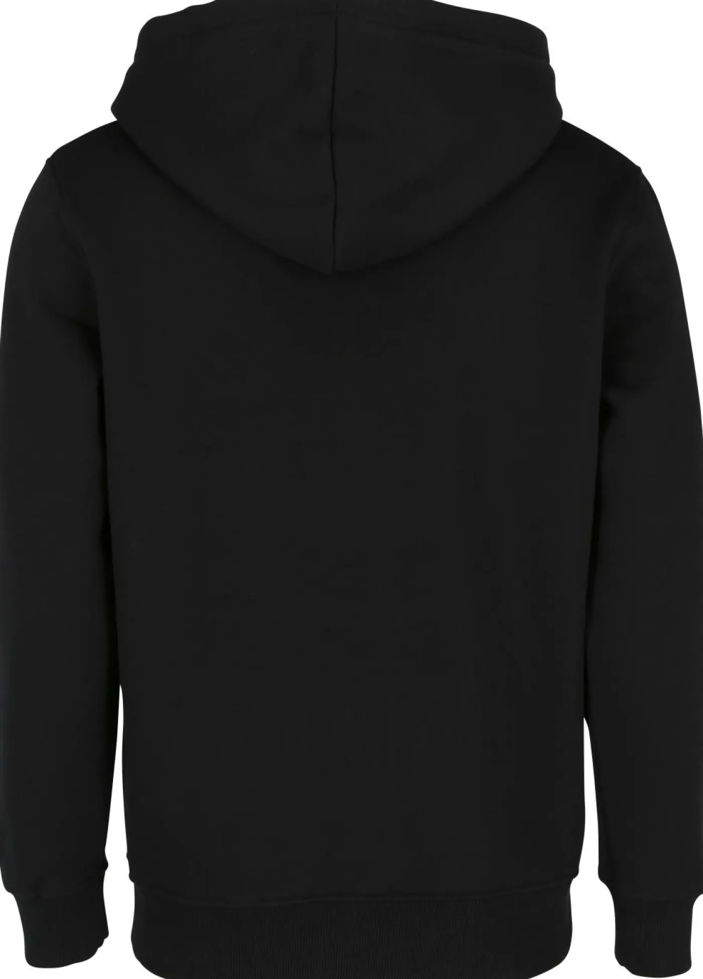 Hoodie "Basic Hoody Small Logo"