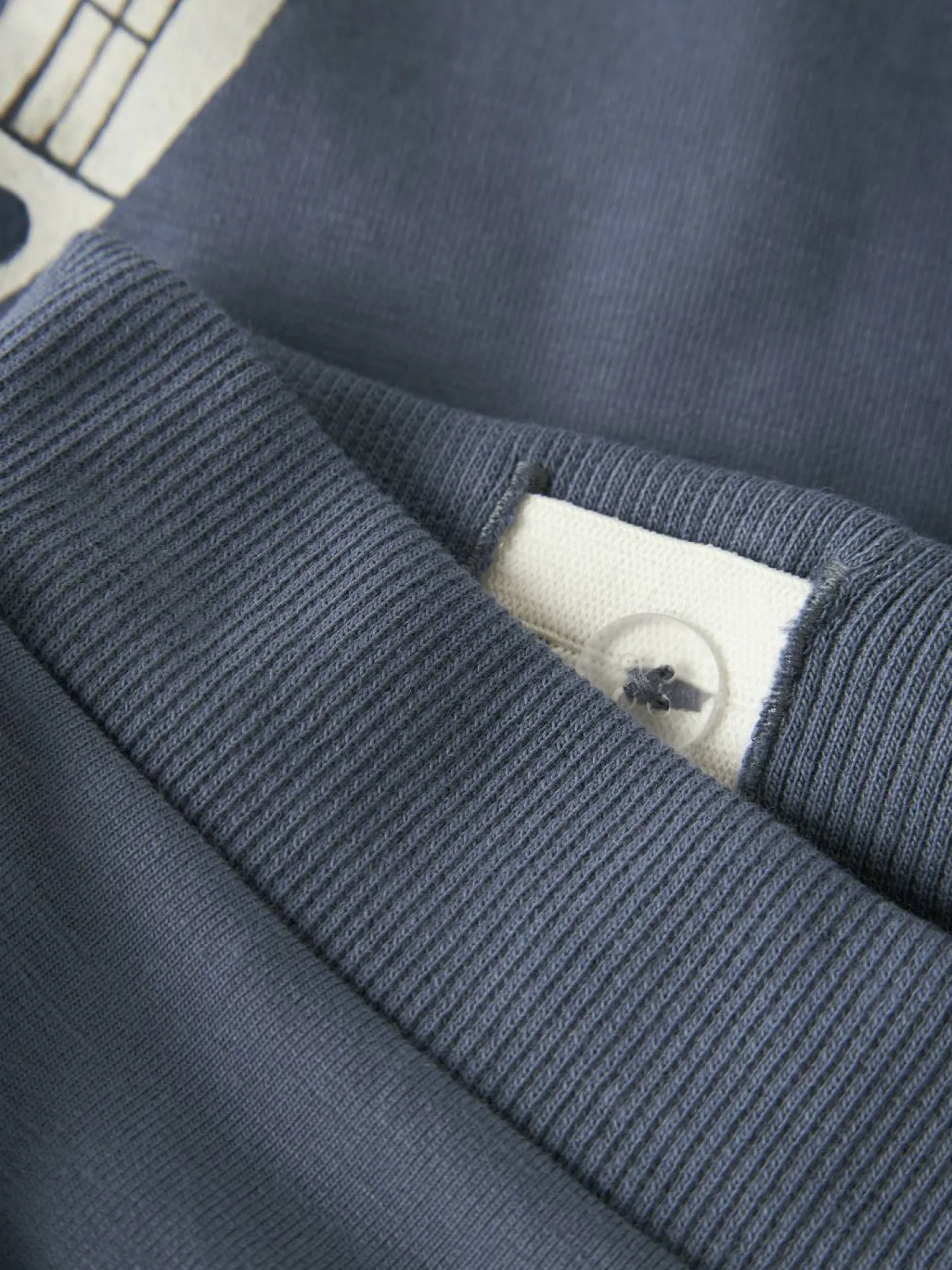 Hose