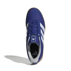 Indoor Schuh "Spezialist"