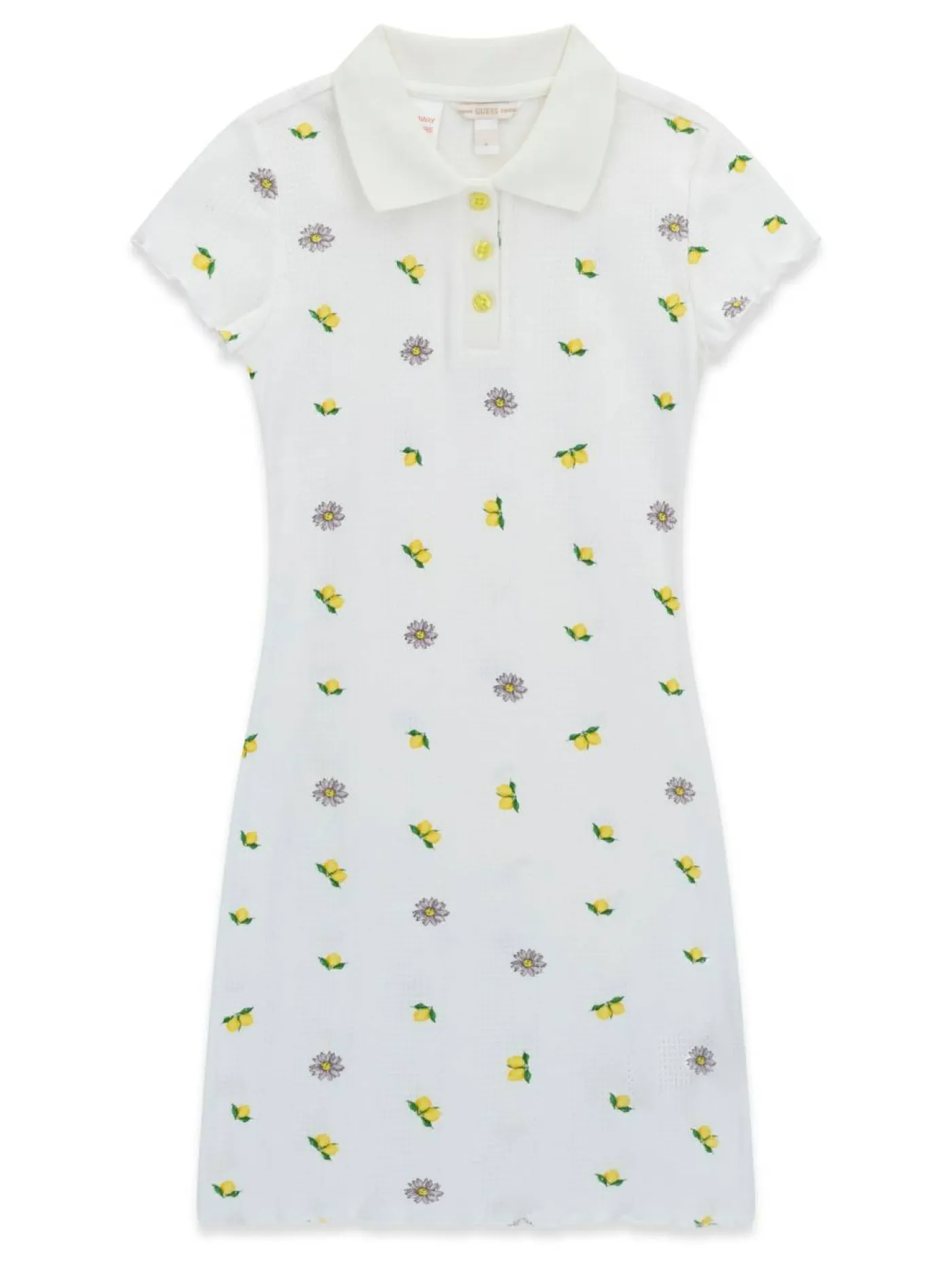 Kleid