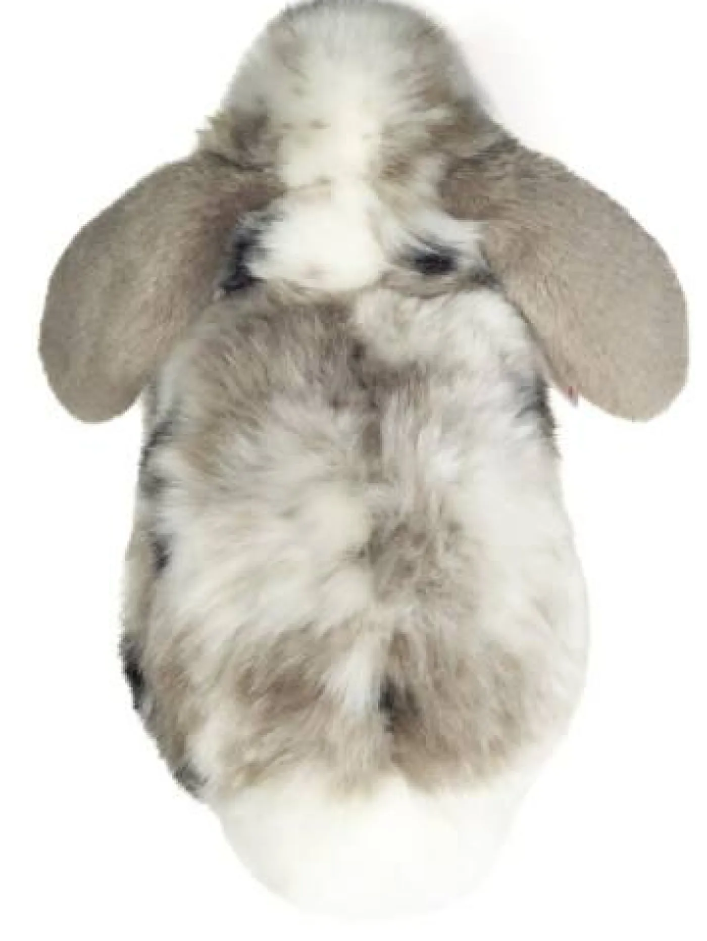 Kuscheltier "Widderkaninchen", 23 cm